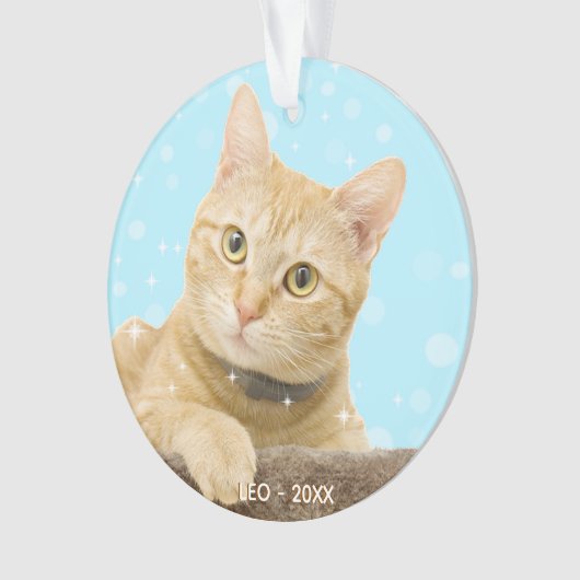 Cat Foto van Eigen gember-tablet Ornament (voorkant)