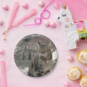 Cat fotopapier Borden Papieren Bordje (Feest)