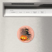 Cat Fun Halloween Character die bang is voor een p Magneet (Insitu (Vaatwasser))