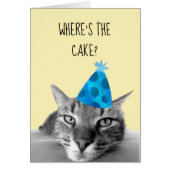 Cat Funny Birthday Kaart Waar is de cake (Voorkant)