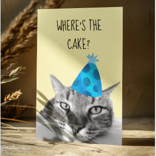 Cat Funny Birthday Kaart Waar is de cake