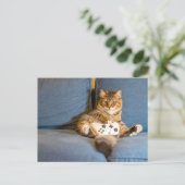 Cat Gamer Postcrossing Briefkaart (Staand voorkant)