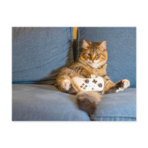 Cat Gamer Postcrossing