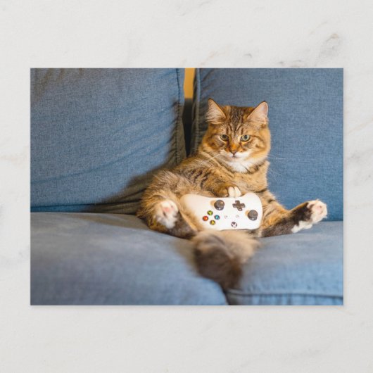 Cat Gamer Postcrossing Briefkaart (Voorkant)