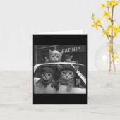 Cat Gang Funny Kat Gangster Meme Kaart (Gele Bloem)