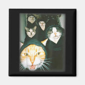 Cat Gang Meme Funny Chaotic Cats Unhinged Feline H Magneet (Voorkant)