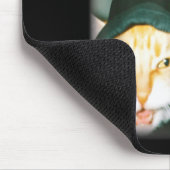 Cat Gang Meme Funny Chaotic Cats Unhinged Feline H Muismat (Hoek)