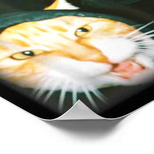 Cat Gang Meme Funny Chaotic Cats Unhinged Feline H Poster (Hoek)