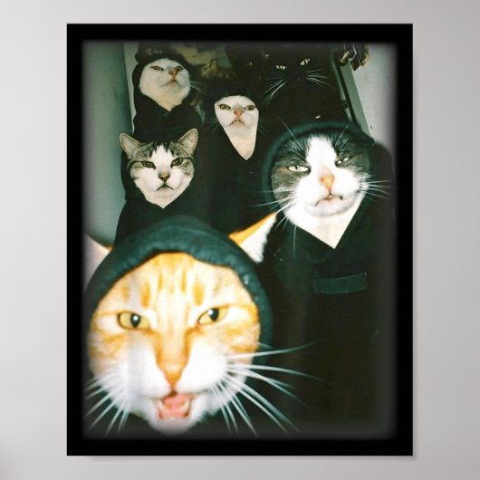 Cat Gang Meme Funny Chaotic Cats Unhinged Feline H Poster (Voorkant)