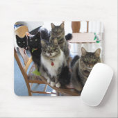 Cat Gang Muismat (Met muis)