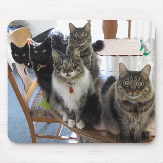Cat Gang Muismat (Voorkant)