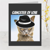 CAT GANGSTER BIRTHDAY OVERGEZET Wenskaart Kaart (Gele Bloem)