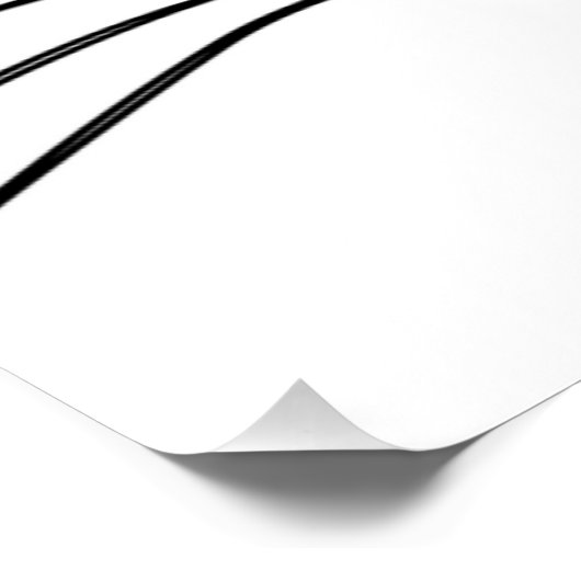 CAT-GEBIED PERFECT POSTER (Hoek)