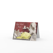  Cat Get Well Soon Wenskaart