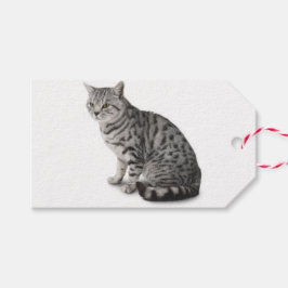 Cat Gift Label Cadeaulabel
