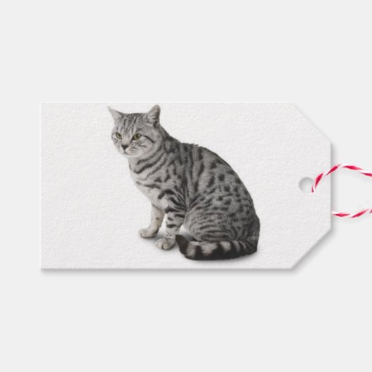 Cat Gift Label Cadeaulabel (Voorkant (Horizontaal))