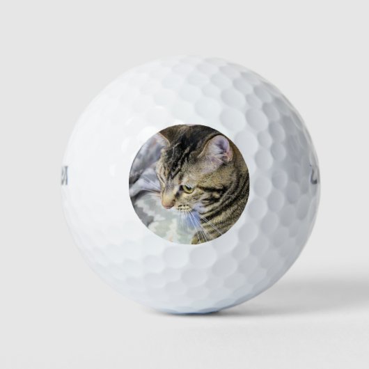 Cat Golf Ball Golfballen (Voorkant)
