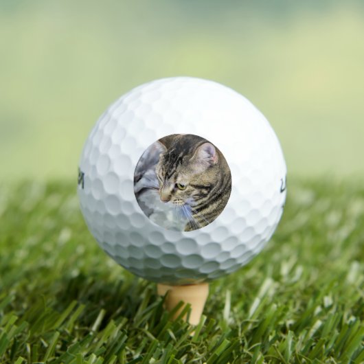 Cat Golf Ball Golfballen (Insitu Shirt)