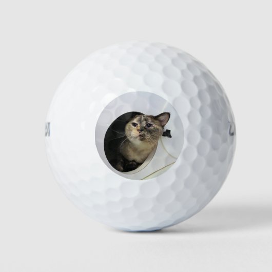 Cat Golf Balls Golfballen (Voorkant)