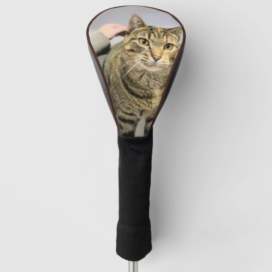 Cat Golf Head Hoesje Golfheadcover (Voorkant)