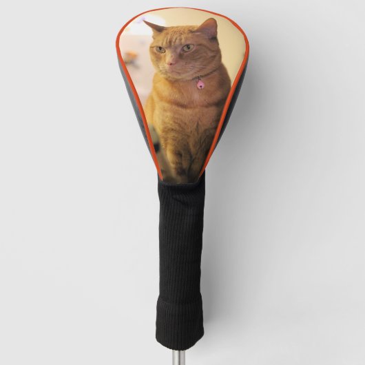 Cat Golf Head Hoesje Golfheadcover (Voorkant)