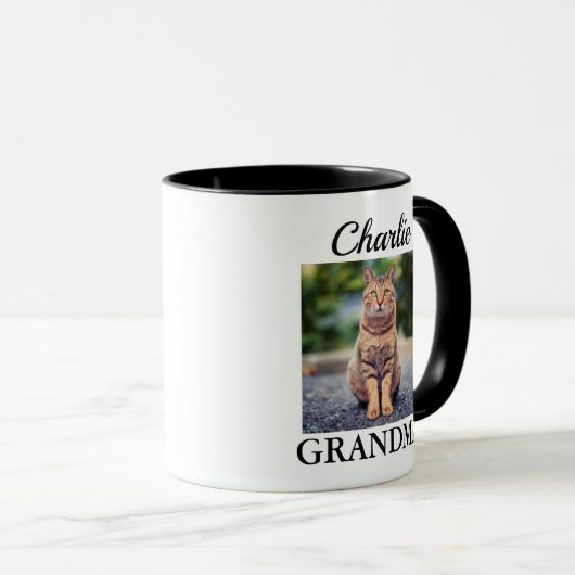 Cat Grandma Mok (Voorkant rechts)
