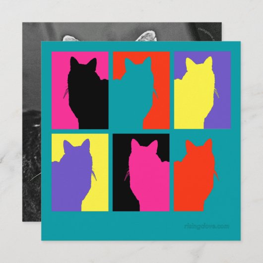 Cat Graphics van Miriam Kilmer van risingdove.com (Voorkant / Achterkant)