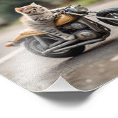 Cat grappig foto afdruk (Hoek)