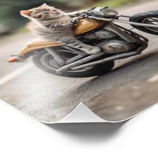 Cat grappig foto afdruk (Hoek)