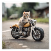 Cat grappig foto afdruk (Voorkant)