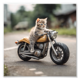 Cat grappig foto afdruk