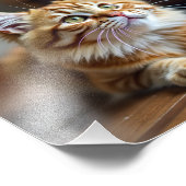 Cat grappig foto afdruk (Hoek)