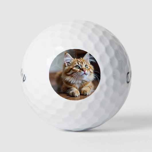 Cat grappig golfballen (Voorkant)
