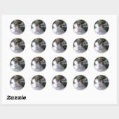 Cat Green Eyes - ronde sticker (Vel)