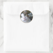 Cat Green Eyes - ronde sticker (Tas)