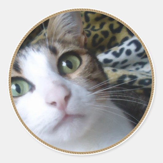 Cat Green Eyes - ronde sticker (Voorkant)