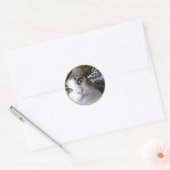 Cat Green Eyes - ronde sticker (Envelop)