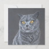 Cat Greeting card.  Feestdagenkaart (Voorkant)
