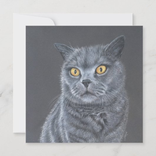 Cat Greeting card.  Feestdagenkaart (Voorkant)