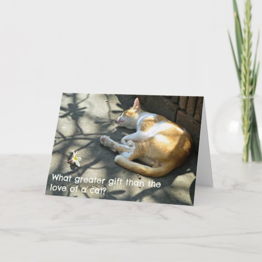 Cat Greetings Card - Wat een grotere cadeau? Kaart (Voorkant)