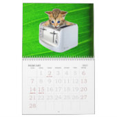 Cat Grinder Wall Agenda Kalender (Feb 2027)