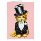 Cat Groom (Voorkant)