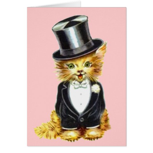 Cat Groom (Voorkant)