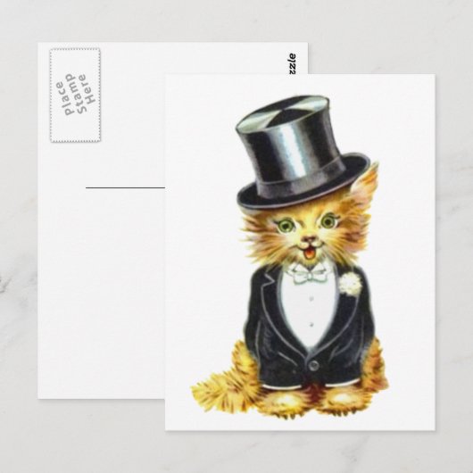 Cat Groom Briefkaart (Voorkant / Achterkant)