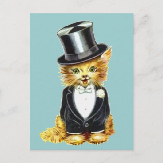 Cat Groom Briefkaart (Voorkant)