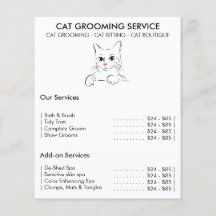 Cat groomoming Service modern