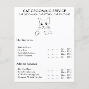 Cat groomoming Service modern Flyer
