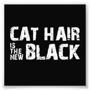 Cat Hair is de Nieuwe Zwart Foto Afdruk