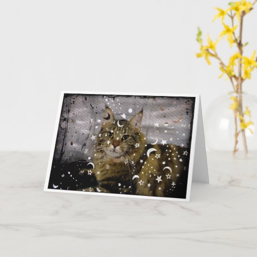 Cat Halloween of een wenskaart voor elke gelegenhe Kaart (Gele Bloem)