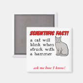 Cat Hammer Funny Magnet Humor (Voorkant / Achterkant)